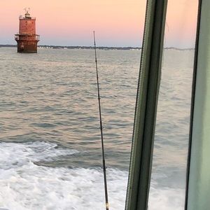 Meet your Posher, Carrie